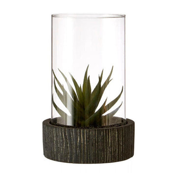 Fiori Large Succulent with Black Stone Base