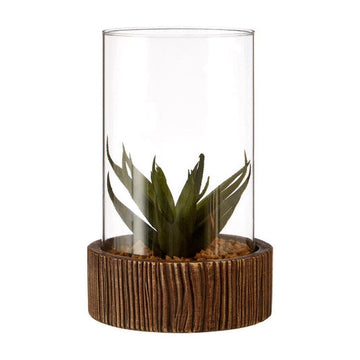 Fiori Large Succulent with Natural Stone Base