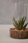 Fiori Large Succulent with Natural Stone Base
