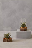 Fiori Large Succulent with Natural Stone Base