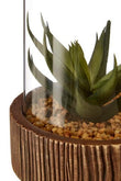 Fiori Large Succulent with Natural Stone Base