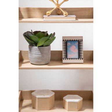 Fiori Lotus Succulent