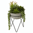 Fiori Mixed Succulent with Metal Stand