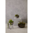 Fiori Mixed Succulent with Metal Stand