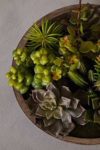 Fiori Mixed Succulent With Stone Effect Pot