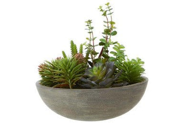 Fiori Mixed Succulent With Stone Effect Pot