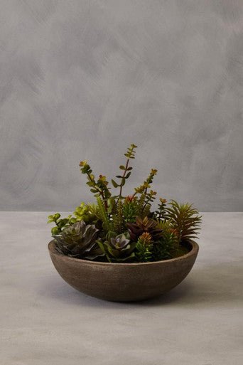 Fiori Mixed Succulent With Stone Effect Pot