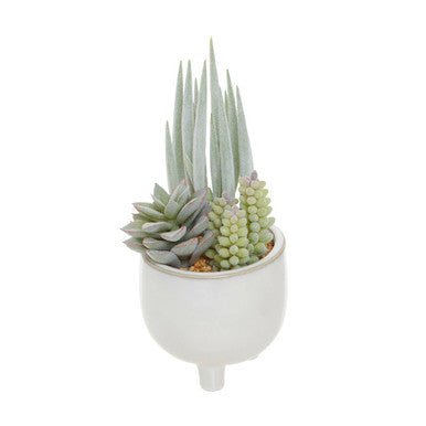Fiori Mixed Succulents With White Ceramic Pot