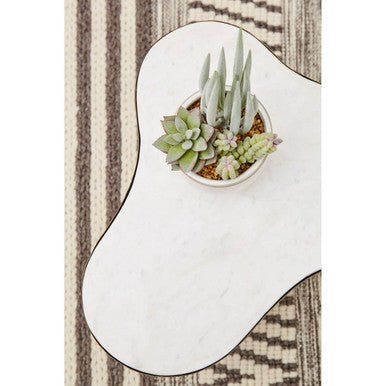 Fiori Mixed Succulents With White Ceramic Pot