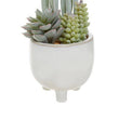 Fiori Mixed Succulents With White Ceramic Pot