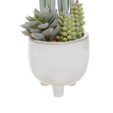 Fiori Mixed Succulents With White Ceramic Pot