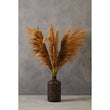 Fiori Natural Stem Pampas Grass