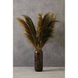 Fiori Pampas Grass Blue Stem