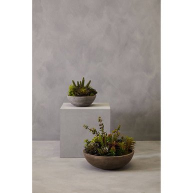 Fiori Paper Stone Effect Pot Mixed Succulent