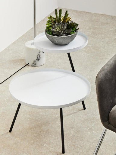 Fiori Paper Stone Effect Pot Mixed Succulent