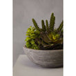 Fiori Paper Stone Effect Pot Mixed Succulent