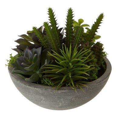 Fiori Paper Stone Effect Pot Mixed Succulent