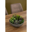 Fiori Paper Stone Effect Pot Mixed Succulent