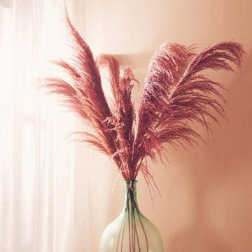 Fiori Pink Stem Pampas Grass