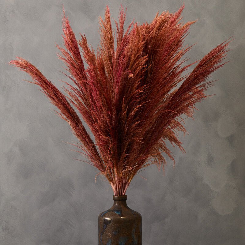 Fiori Pink Stem Pampas Grass
