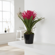 Fiori Pink Tropical Plant with Black Ceramic Pot