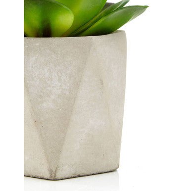 Fiori Set of 3 Succulents in Geo Cement Pots