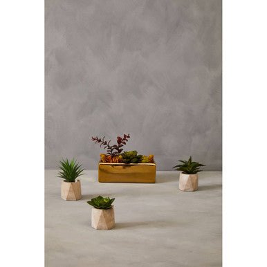 Fiori Set of 3 Succulents in Geo Cement Pots