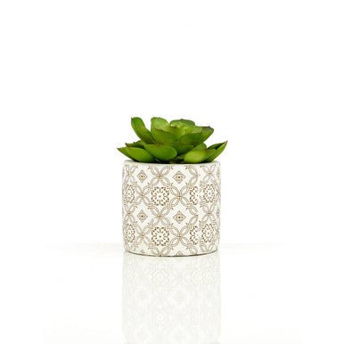 Fiori Set of 3 Succulents in Henna Ceramic Pots
