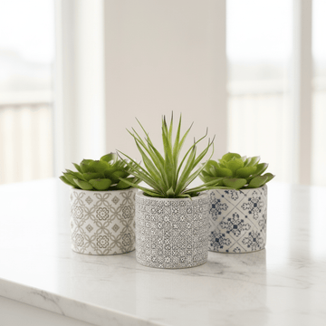 Fiori Set of 3 Succulents in Henna Ceramic Pots