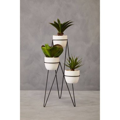 Fiori Set of 3 Succulents with Metal Stand
