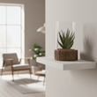 Fiori Small Succulent with Natural Stone Base