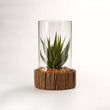 Fiori Small Succulent with Natural Stone Base
