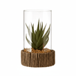 Fiori Small Succulent with Natural Stone Base