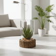 Fiori Small Succulent with Natural Stone Base