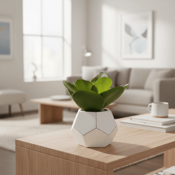 Fiori White Cement Pot Succulent