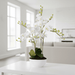 Fiori White Orchid Plant With White Pot