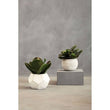 Fiori White Round Pot Mixed Succulent
