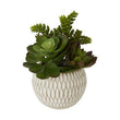 Fiori White Round Pot Mixed Succulent