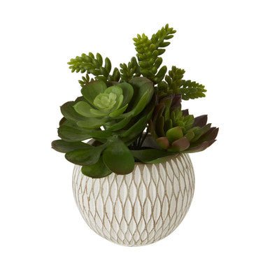 Fiori White Round Pot Mixed Succulent