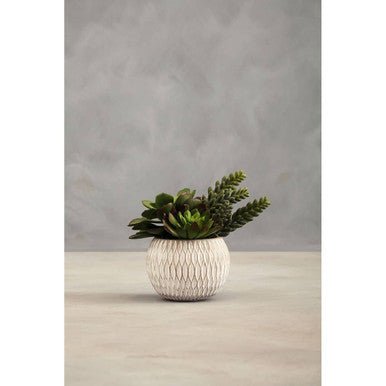 Fiori White Round Pot Mixed Succulent
