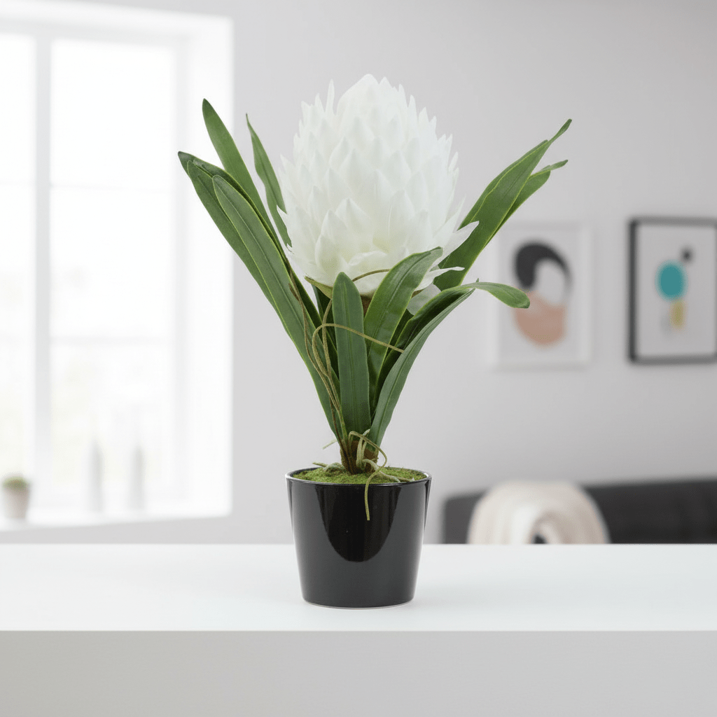 Fiori White Tropical Plant