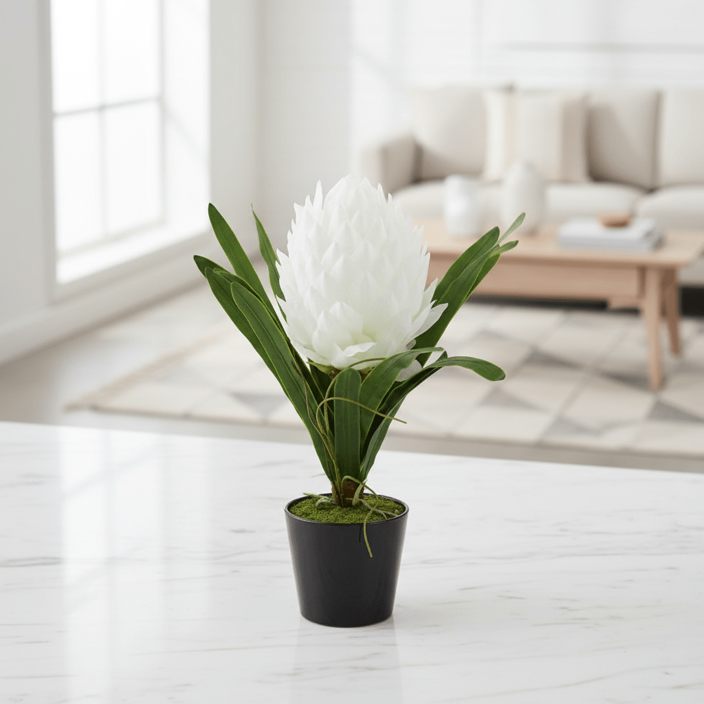 Fiori White Tropical Plant