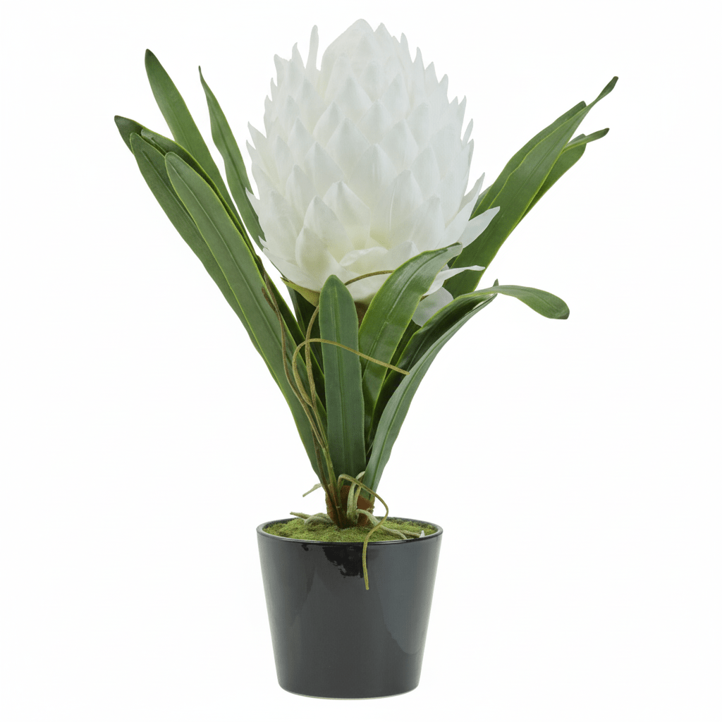 Fiori White Tropical Plant