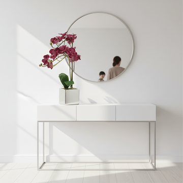 Fiori Aubergine Orchid Plant