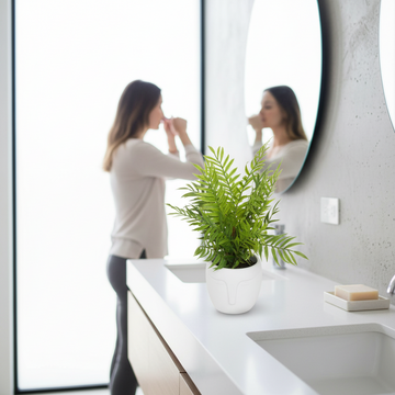 Fiori Fern In White Ceramic Pot With Iron Stand