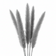 Fiori Grey Feather Stem