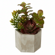 Fiori Mixed Succulents In Wood Wall Planter