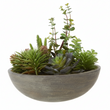 Fiori Mixed Succulent With Stone Effect Pot