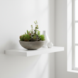 Fiori Mixed Succulent With Stone Effect Pot