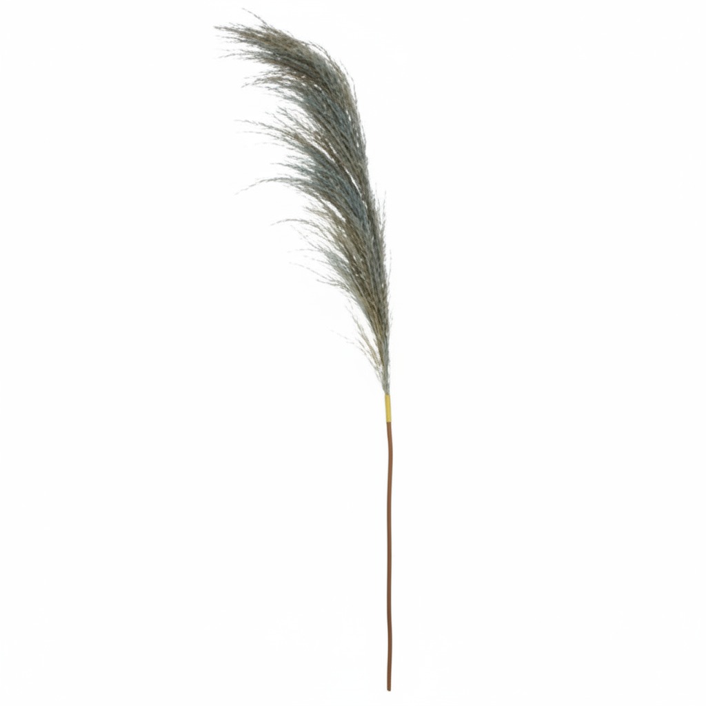 Fiori Pampas Grass Blue Stem